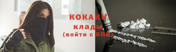 тгк Пестово