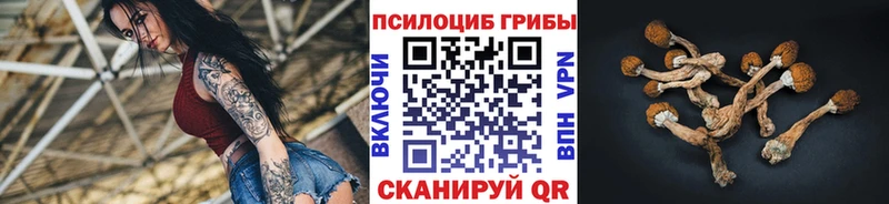 Псилоцибиновые грибы мухоморы  Алапаевск 